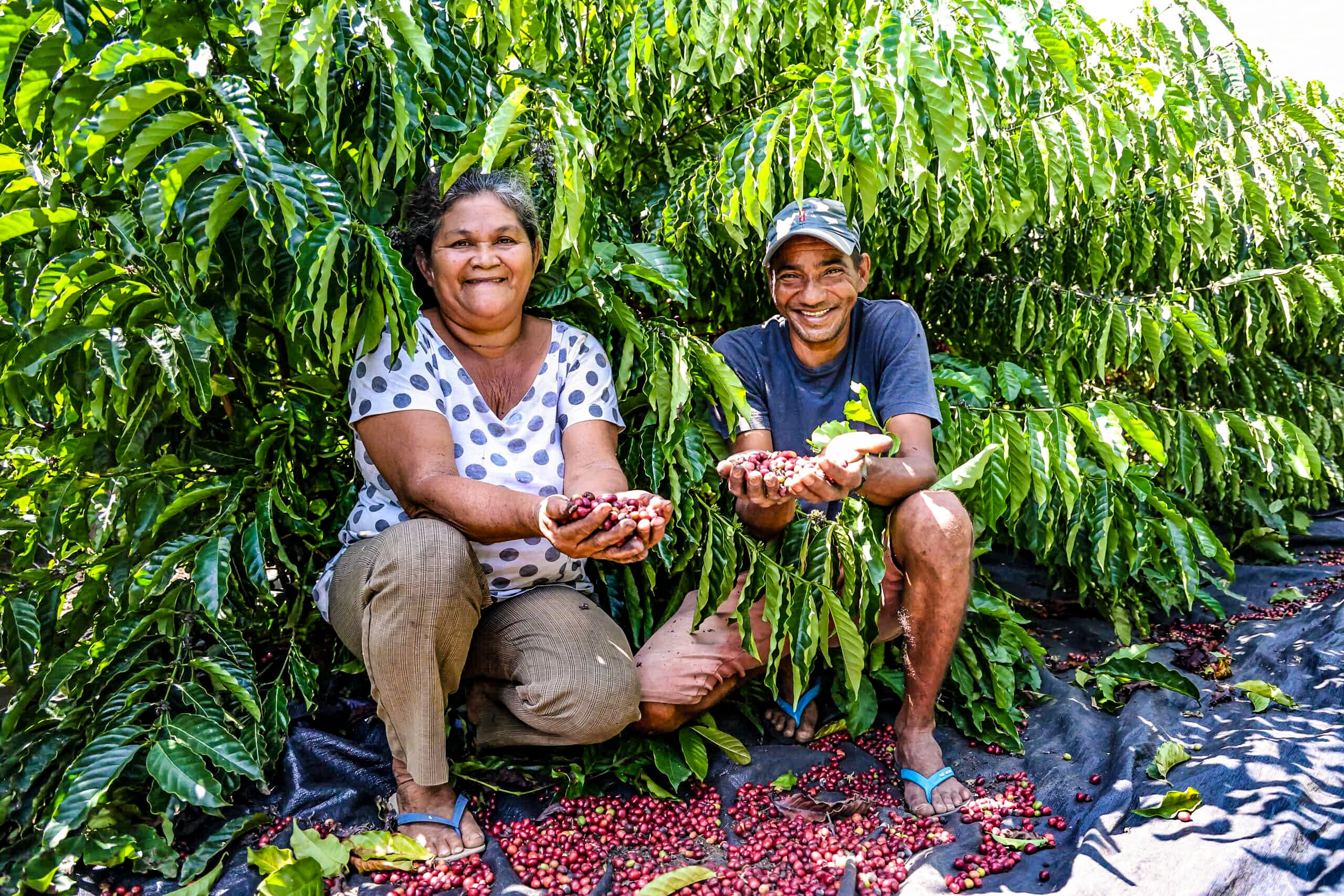 Iniciativa impulsiona produção, reduz vulnerabilidade social e beneficia mais de 4 mil pessoas com inclusão produtiva na região amazônica